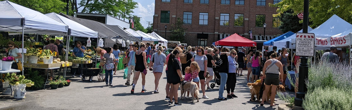Crowds browsing vendor booths at the Palatine Farmers Market on a sunny Saturday morning.