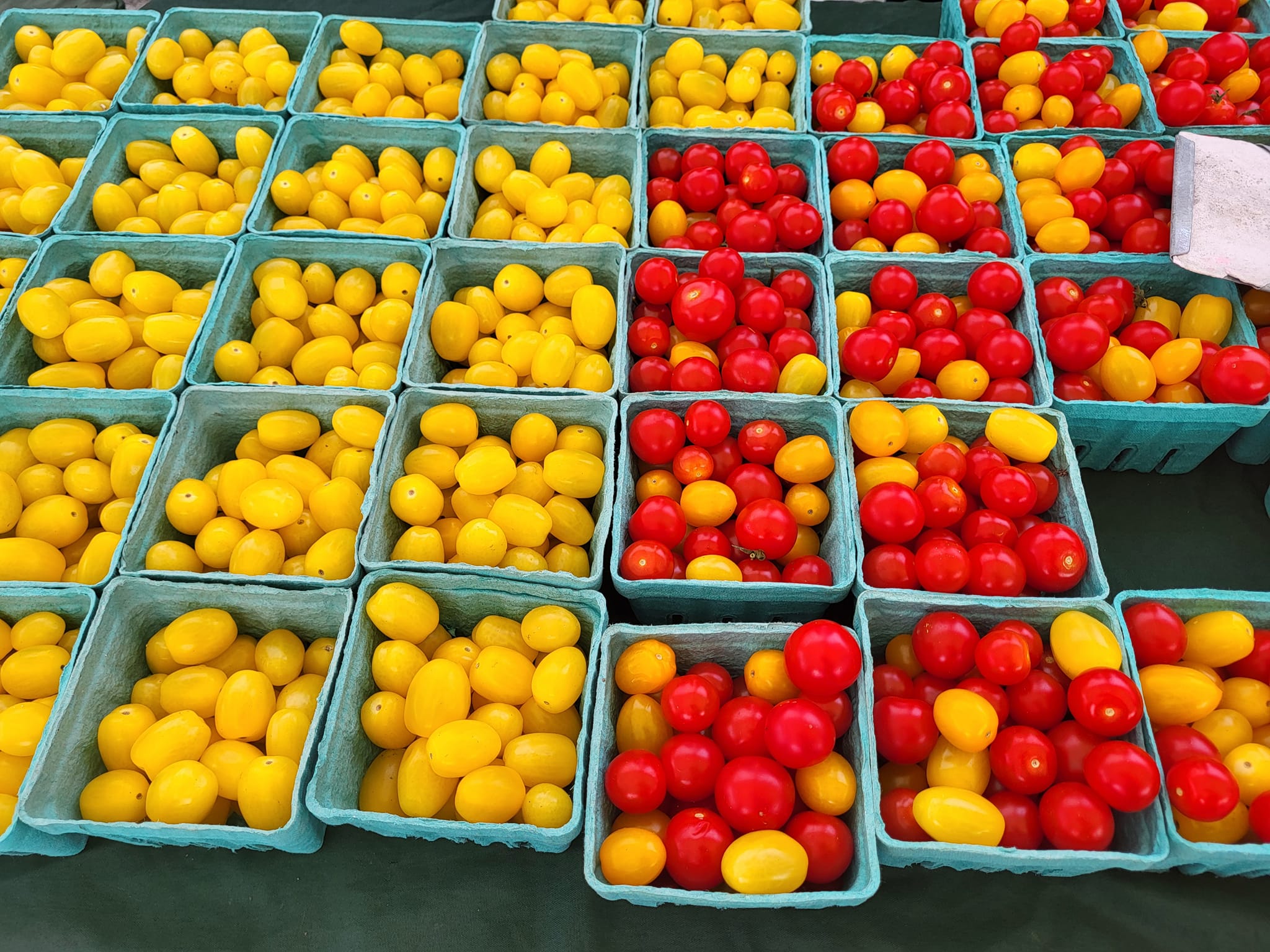 Yellow and Red tomatoes from Bothwell Farms at the Frankfort Farmers Market