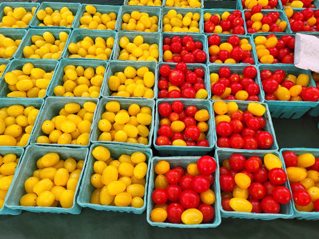 Yellow and red tomatoes from Bothwell Farms at the Frankfort Farmers Market