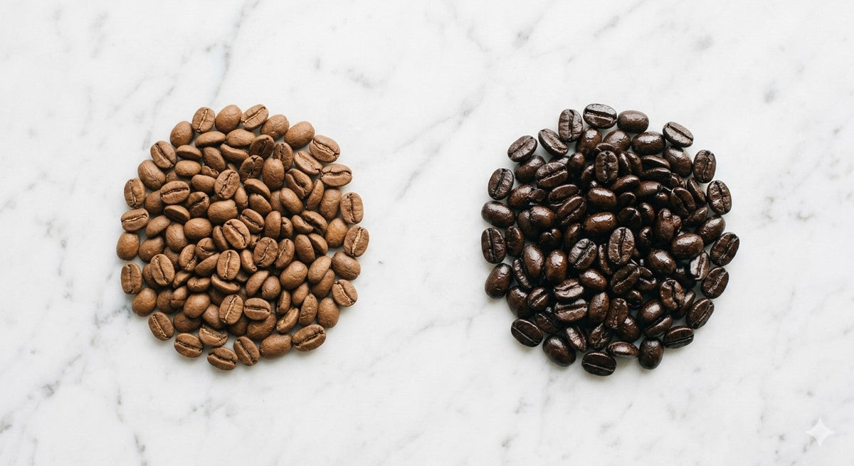 Light roast coffee beans next to dark roast coffee beans showing the color and texture difference between roast levels