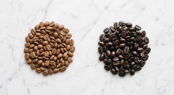 Light roast coffee beans next to dark roast coffee beans showing the color and texture difference between roast levels