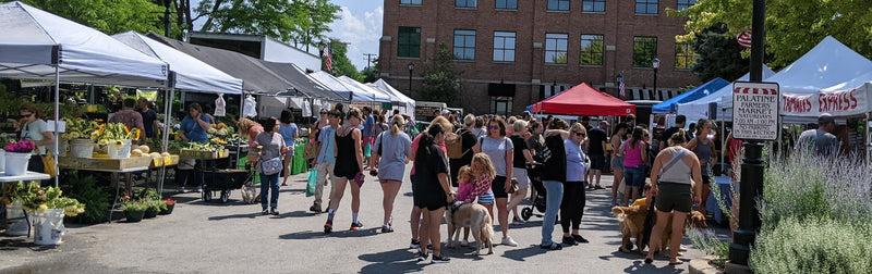 Crowds browsing vendor booths at the Palatine Farmers Market on a sunny Saturday morning.
