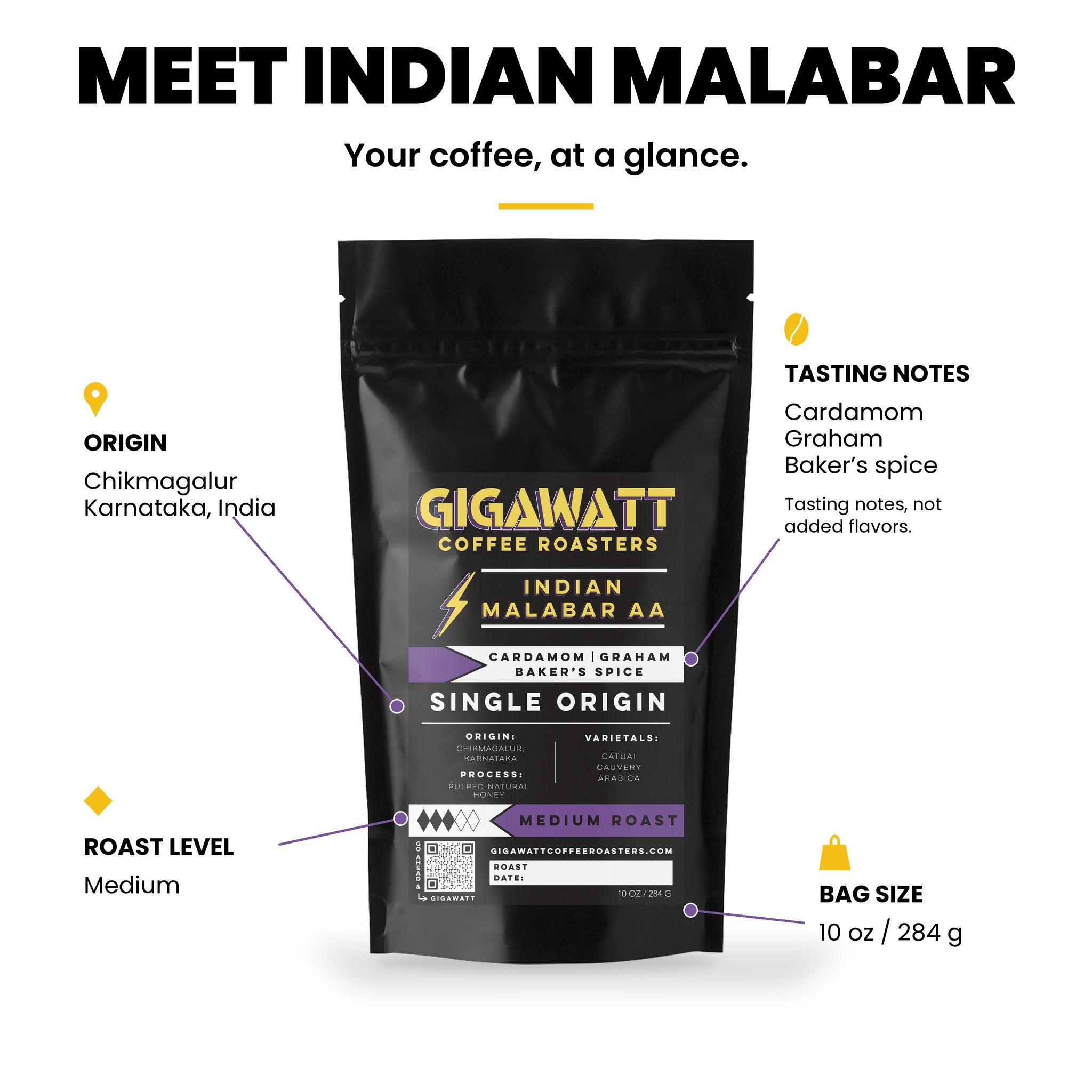 Gigawatt Indian Malabar AA at a glance: single origin medium roast monsooned coffee, 10 oz bag