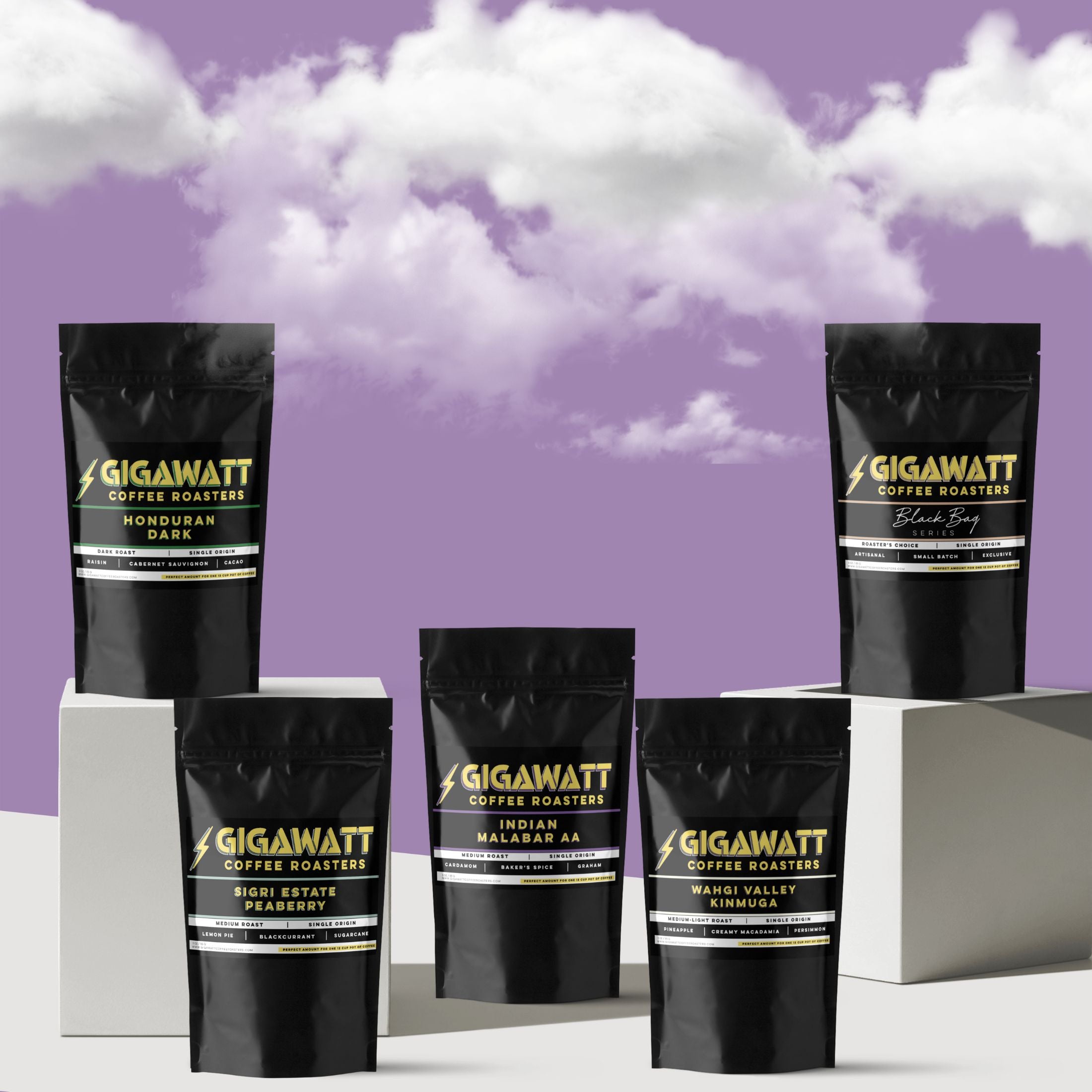 Gigawatt Coffee Single Origin Coffee Sampler Pack, featuring a variety of premium single origin coffees in 3 oz bags. A perfect gift for coffee lovers to discover and explore new coffee flavors, set against a cloud filled background.