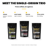 Gigawatt Single Origin Sampler at a glance: Organic Honduran, Costa Rican Tarrazu and Mexican Chiapas, three 10 oz bags, light to medium roast, 30 oz total