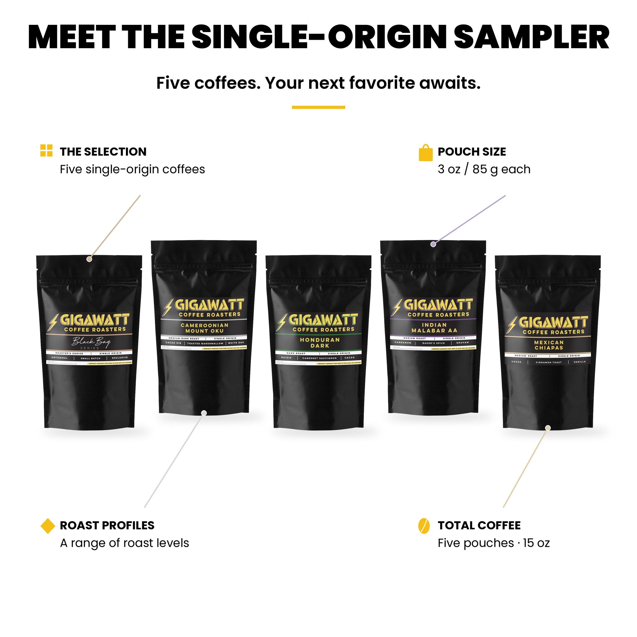 Gigawatt Single Origin Coffee Sampler Pack at a glance: five 3 oz pouches of single origin coffee, one pouch brews a 12-cup pot