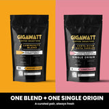 Gigawatt gift subscription showing one blend and one single origin coffee, curated fresh each month