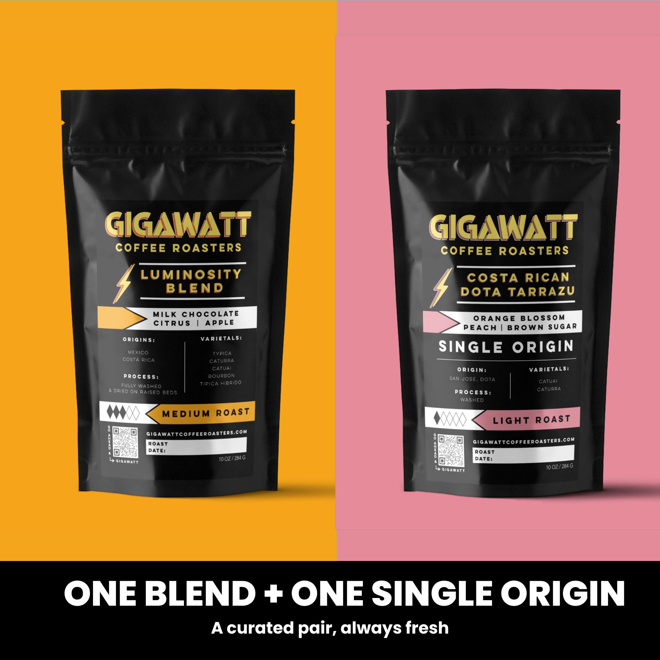 Gigawatt gift subscription showing one blend and one single origin coffee, curated fresh each month