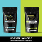 Two Gigawatt coffee bags for the Roaster's Choice gift subscription, a blend and a single origin