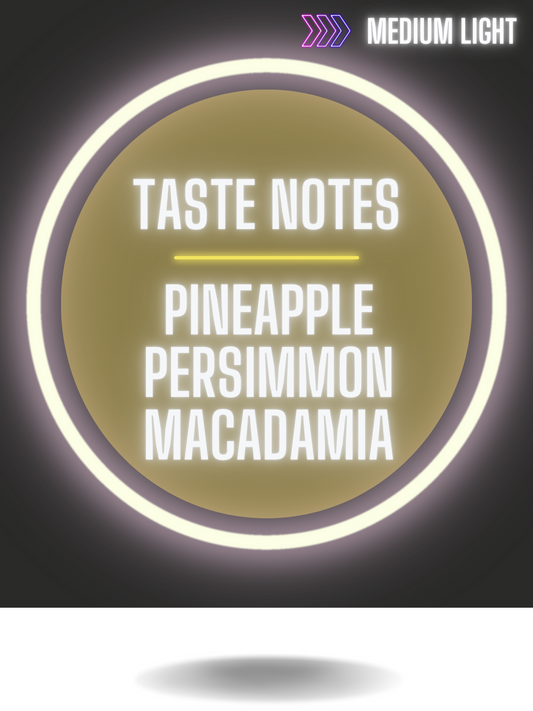 Taste notes of Gigawatt Wahgi Valley Papua New Guinea Coffee, Pineapple, Persimmon, Creamy Macadamia.