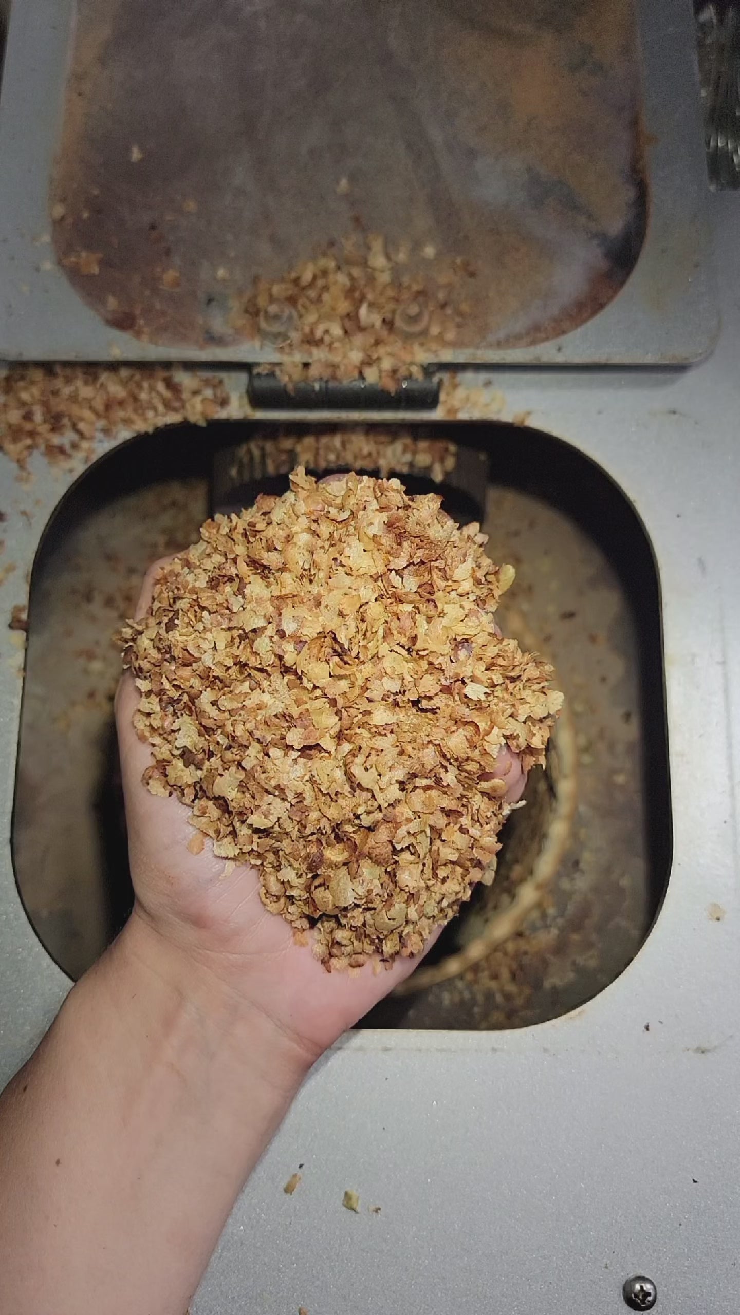 Video of Hand holding coffee chaff, as it falls through fingers.  above a coffee chaff collection chamber.